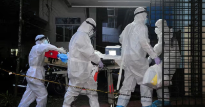 WHO nhận định virus Nipah chưa có dấu hiệu lan rộng, nguy cơ lây nhiễm thấp