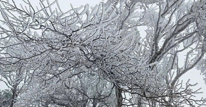 Đêm nay không khí lạnh mạnh tràn xuống miền Bắc