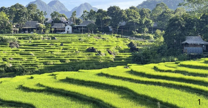 Pù Luông phát triển kinh tế, hướng tới giảm nghèo bền vững