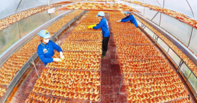 Những mẻ tôm sú khô tiền triệu hút khách dịp Tết ở Cà Mau