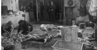 Khởi tố đường dây giết mổ, tiêu thụ lợn bệnh tại Hưng Yên