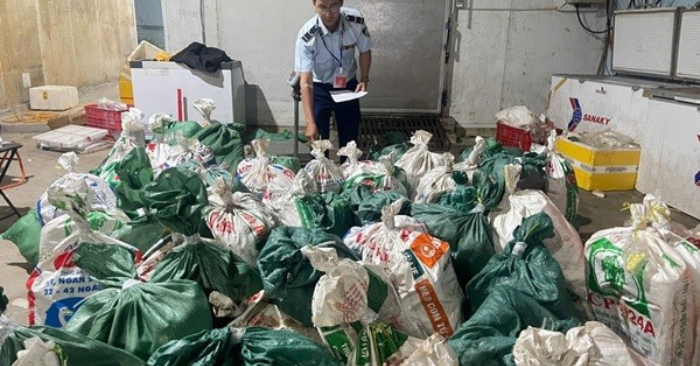 lượng quản lý thị trường TP HCM kiểm tra đột xuất một hộ kinh doanh, phát hiện hơn 18 tấn lòng bò, thịt bò không hóa đơn, không nguồn gốc, trị giá gần 750 triệu đồng