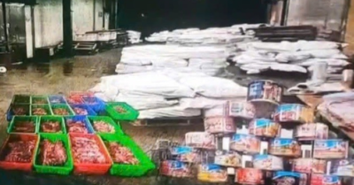 Khởi tố 9 bị can tuồn 120 tấn thịt lợn nhiễm dịch tả châu Phi vào nhà máy đồ hộp Hạ Long