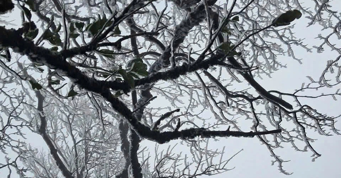 Miền Bắc rét đậm: Nhiệt độ thấp nhất xuống 2 độ C