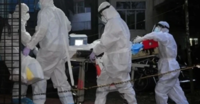 Bộ Y tế yêu cầu giám sát khẩn virus Nipah sau ổ dịch tại Ấn Độ