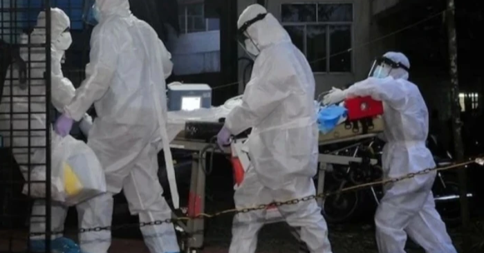 Bộ Y tế yêu cầu giám sát khẩn virus Nipah sau ổ dịch tại Ấn Độ