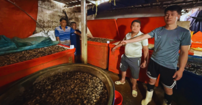 Nguy cơ sức khỏe từ 3.000 tấn ốc ngâm “thủy tinh lỏng” tại TP.HCM