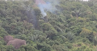 Rơi máy bay quân sự ở Đắk Lắk, phi công kịp thời nhảy dù thoát nạn