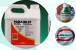 EPA Mỹ đánh giá lại độ an toàn thuốc diệt cỏ paraquat