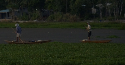 Ngư dân lo ngại nguy cơ mất trắng “kho báu” thủy sản tại đầm Trà Ổ