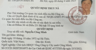 Đề nghị truy tố vắng mặt Chủ tịch HĐQT Công ty cây xanh Công Minh do bỏ trốn