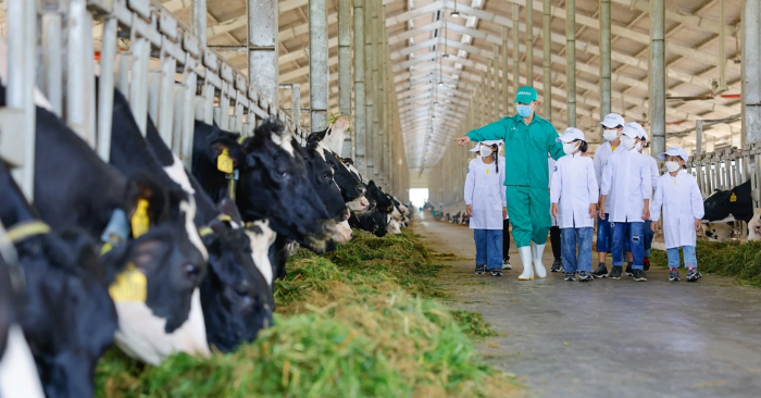 Nông nghiệp Việt và bài toán ESG: Làm được nhưng nói chưa đúng