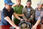 Động vật hoang dã: Bắt quả tang đối tượng mua bán trái phép