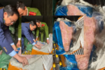 Phát hiện 10 tấn thực phẩm không rõ nguồn gốc tại kho đông lạnh Hà Nội