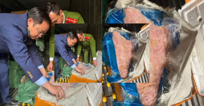 Phát hiện 10 tấn thực phẩm không rõ nguồn gốc tại kho đông lạnh Hà Nội