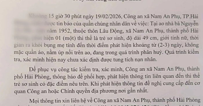 Hải Phòng: Phát hiện thi thể trẻ sơ sinh trong ao nhà dân