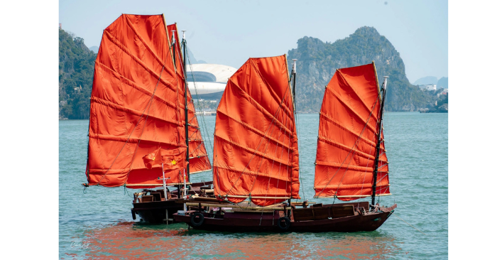 Vì sao dịch vụ thuyền buồm đỏ vịnh Hạ Long dừng chạy?