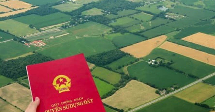 Nhà đất chưa có sổ đỏ: Thừa kế được chia thế nào?