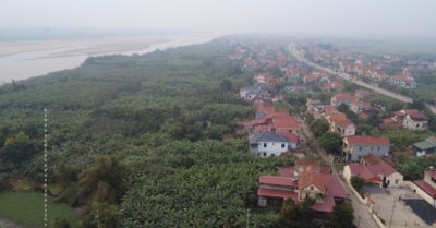 Chuối tiêu Bản Nguyên hút hàng Tết, buồng đẹp chạm mốc tiền triệu