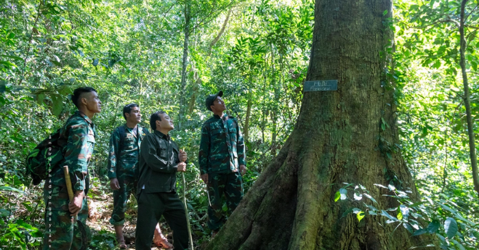 bảo vệ rừng Quảng Trị dịp Tết