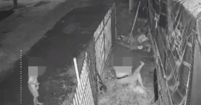 Đồng Tháp điều tra vụ người phụ nữ bị tấn công trước mặt con nhỏ