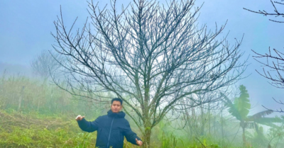 Lên núi cao 2.000 mét “săn” đào đá bán Tết