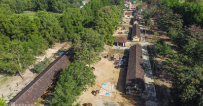 Trại ngựa 130 năm tuổi cung cấp huyết thanh cứu người ở Khánh Hòa