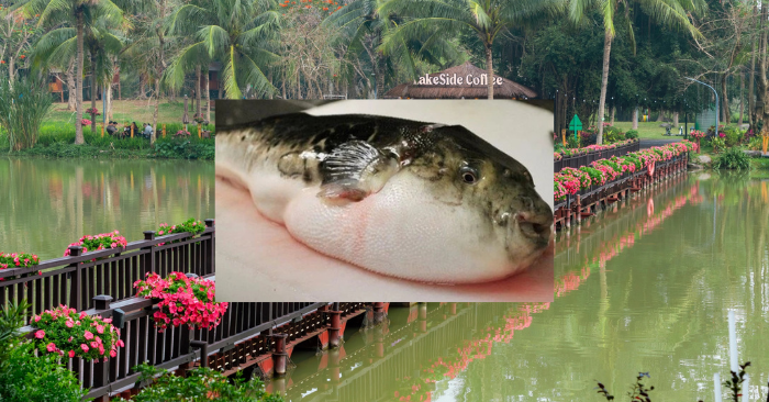 độc tố tự nhiên trong thực phẩm