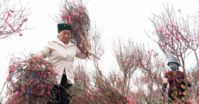 Không khí lạnh mạnh có thể tràn về miền Bắc trước Tết