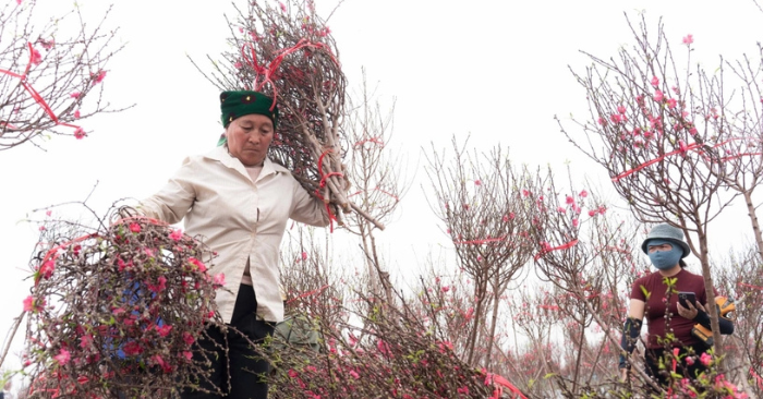 Không khí lạnh trước Tết