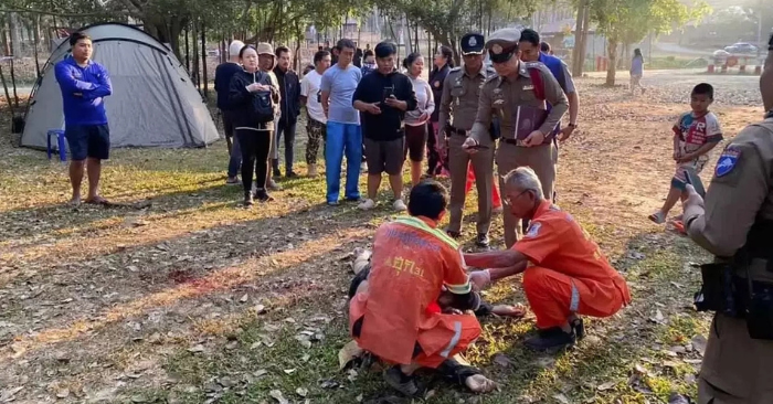 Voi hoang dã tấn công du khách