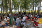 Triệt phá tụ điểm đá gà ăn tiền quy mô lớn, bắt quả tang 61 đối tượng ở Tây Ninh