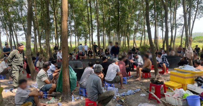 Một tụ điểm đá gà ăn tiền hoạt động tinh vi tại khu vực đất trồng keo lá tràm đã bị lực lượng chức năng triệt phá, bắt quả tang 61 người cùng số tiền cá cược gần 1 tỷ đồng, vụ án tiếp tục được mở rộng điều tra
