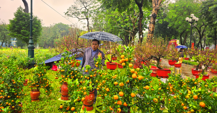Thị trường hoa Tết Hà Nội ế ẩm dù ngày nghỉ đã cận kề