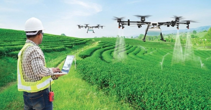 Lương ngành nông nghiệp: Vị trí lãnh đạo đứng đầu thị trường lao động