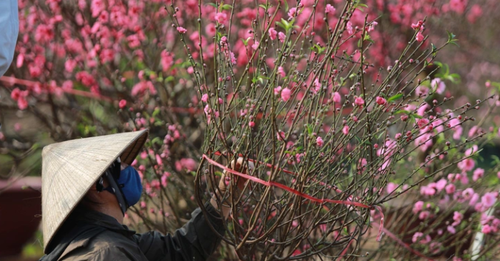 Chuỗi 8 năm không có ngày 30 Tết và sự thay đổi lịch