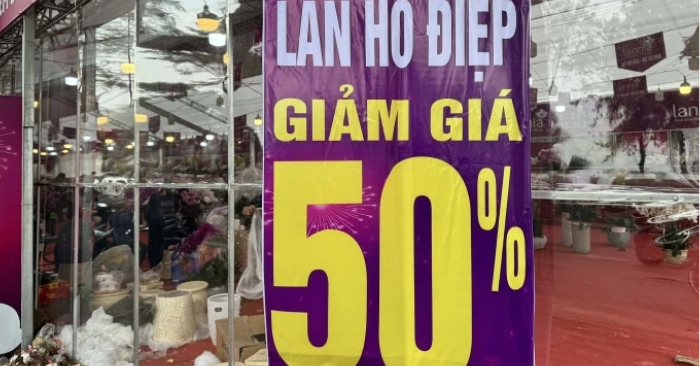 thị trường hoa cây cảnh Tết