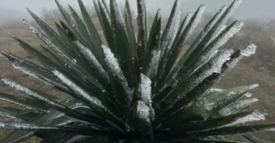 Không khí lạnh mạnh tràn xuống miền Bắc