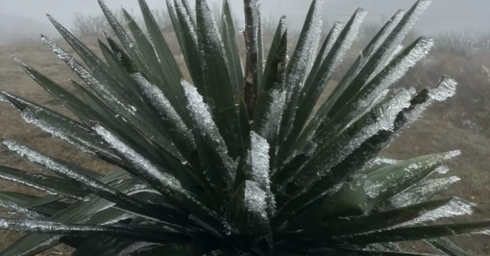 Không khí lạnh mạnh tràn xuống miền Bắc