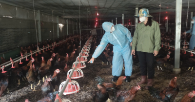 Nông dân Đắk Lắk thu lợi nhuận tỷ đồng từ điện mặt trời mái nhà