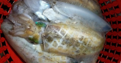 Giá hải sản Tết tăng mạnh tại Thanh Hóa