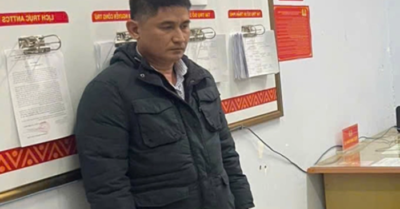 Làm giả lúa giống ST24 ST25: Giám đốc công ty bị bắt