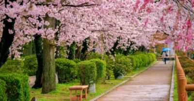 10 thành phố an toàn nhất thế giới cho phụ nữ du lịch một mình năm 2026