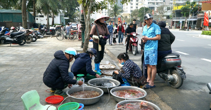 Cá khoai tăng giá kỷ lục lên một triệu đồng một kg