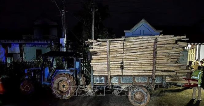 Một vụ tai nạn giao thông nghiêm trọng xảy ra tại phường Phong Thái TP Huế giữa máy cày chở gỗ và xe gắn máy, khiến hai trẻ em tử vong, gây xót xa cho người dân địa phương