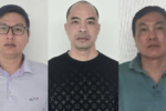 Khởi tố ba giám đốc tại Tuyên Quang vì trốn thuế tỷ đồng