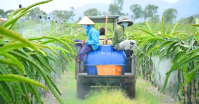 Dư lượng thuốc bảo vệ thực vật: Rào cản  với nông sản Việt