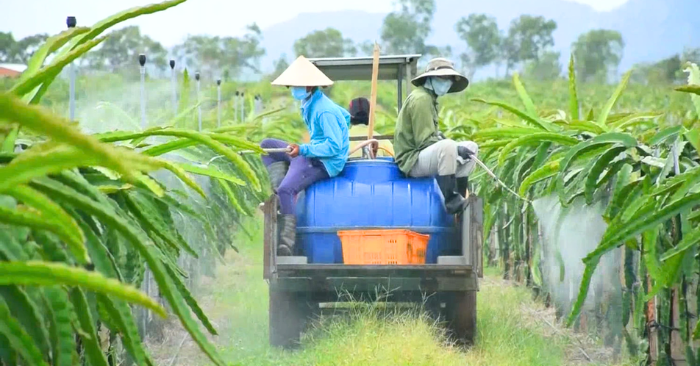 Dư lượng thuốc bảo vệ thực vật: Rào cản với nông sản Việt