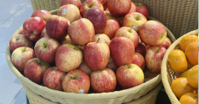 Lựa chọn thời điểm ăn trái cây để cân bằng sức khỏe và năng lượng