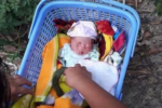 Nghệ An: Bé trai sơ sinh bị bỏ rơi lúc rạng sáng kèm lời nhắn nghẹn lòng